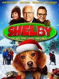 Film: Shelby: Pes, ktorý zachránil Vianoce