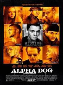 Film: Alpha Dog