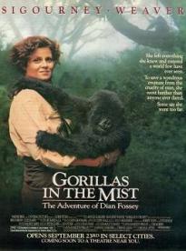Film: Gorily v hmle: Príbeh Dian Fosseyovej